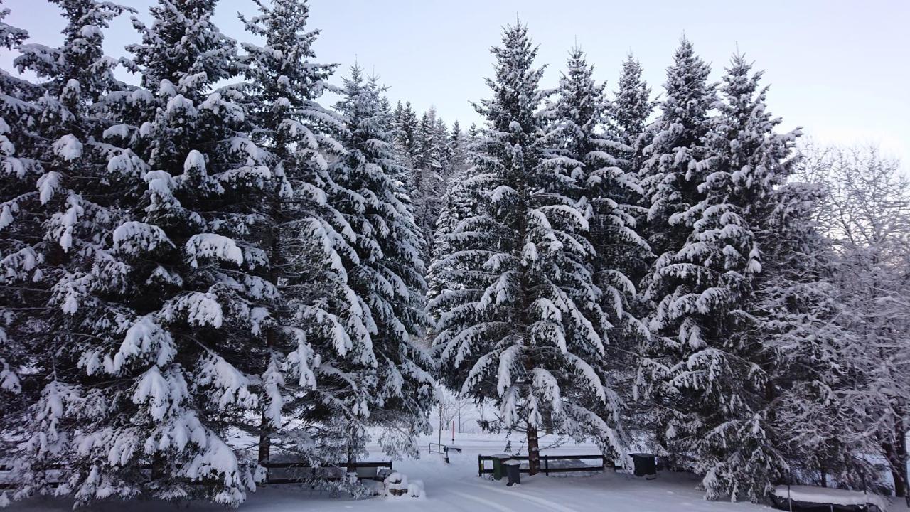 Am Kaltenbach - Spital Am Semmering, Stuhleck Екстер'єр фото