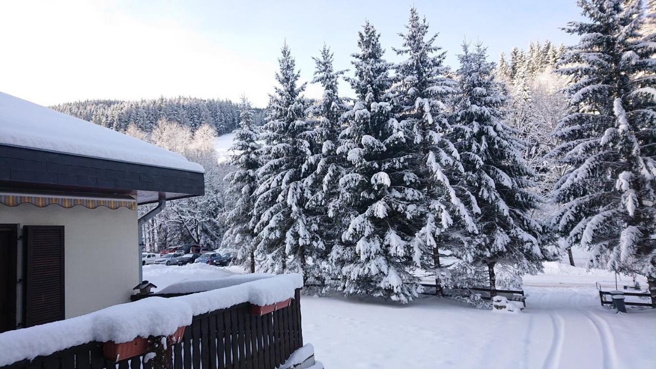 Am Kaltenbach - Spital Am Semmering, Stuhleck Екстер'єр фото