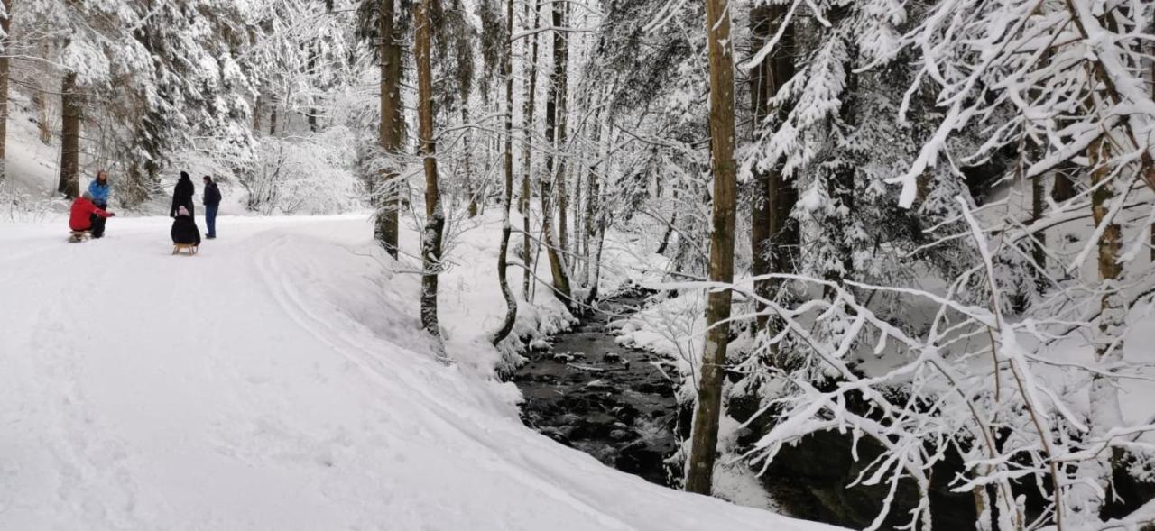 Am Kaltenbach - Spital Am Semmering, Stuhleck Екстер'єр фото